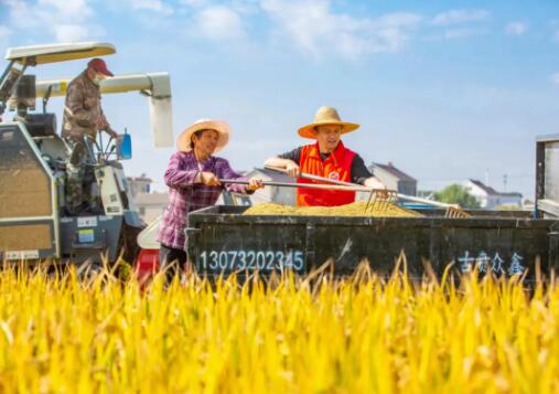 qq截图20241216105828.jpg qq截图20241216105828.jpg