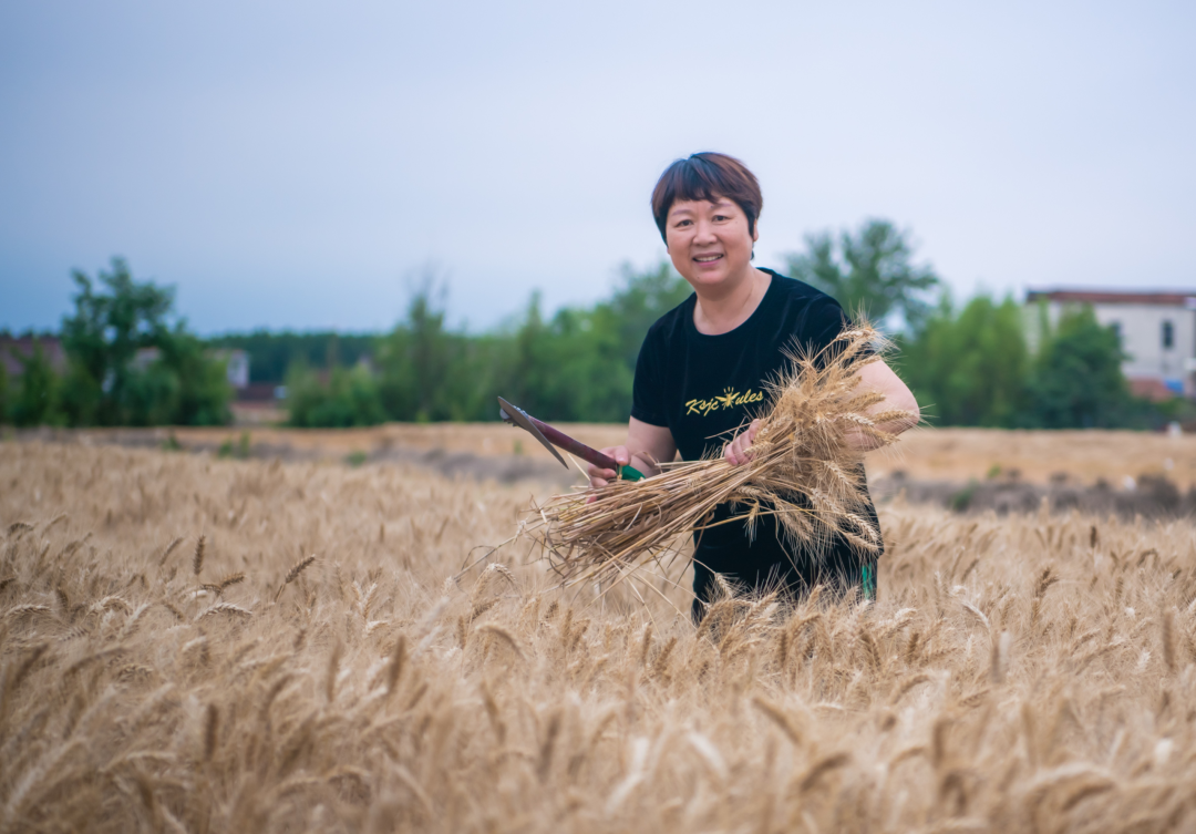 640 (3).png 640 (3).png