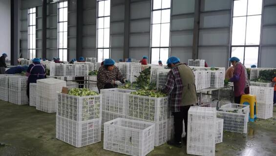 qq截图20241216104755.jpg qq截图20241216104755.jpg