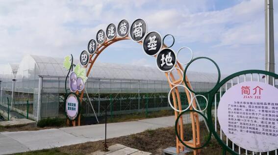 qq截图20241216104747.jpg qq截图20241216104747.jpg