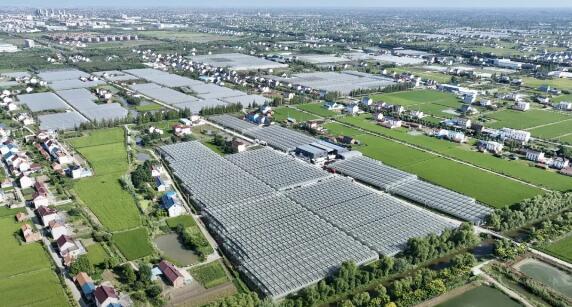 qq截图20241216104739.jpg qq截图20241216104739.jpg